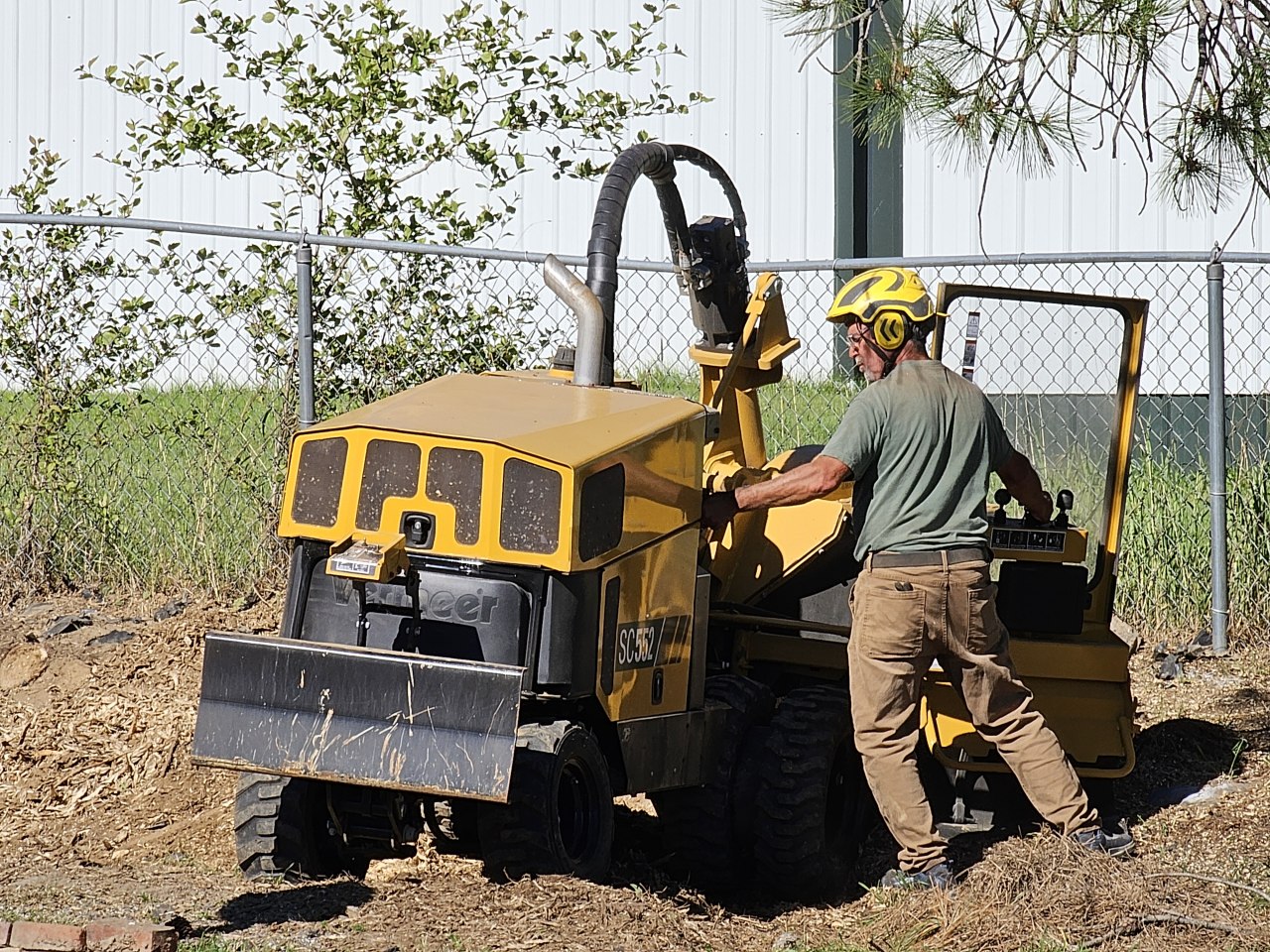 Dte stump grinding | Stump removal