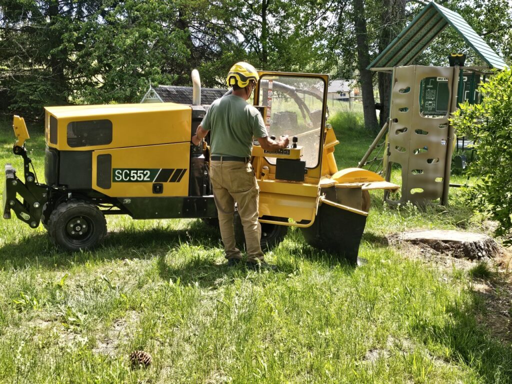 Dte stump grinding | Stump removal
