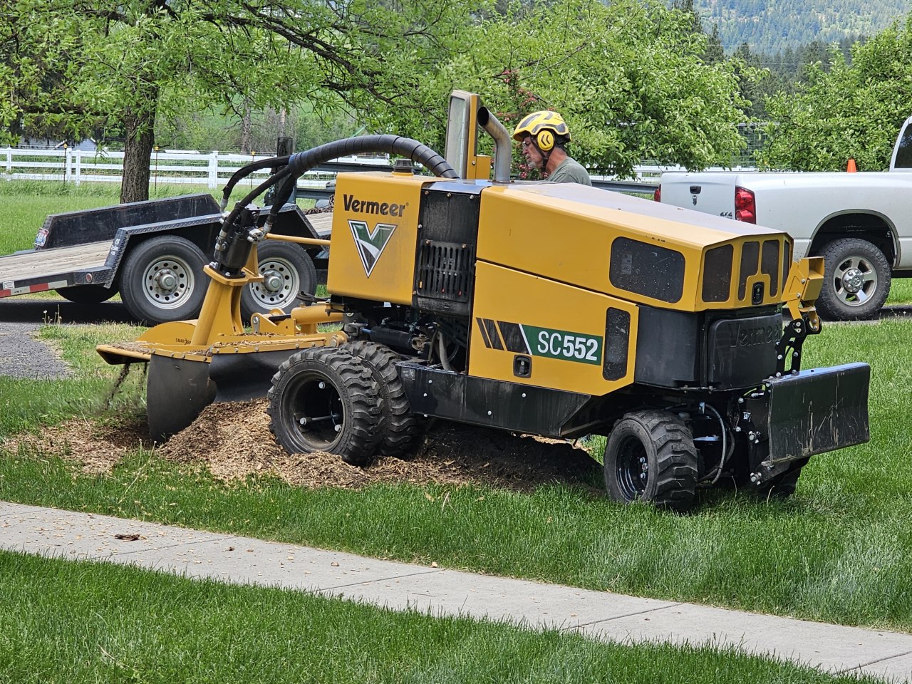 dte stump grinding, Stump removal